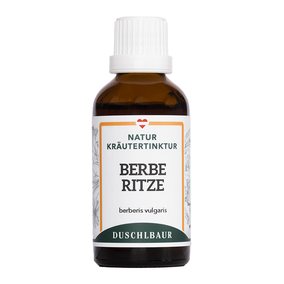 Berberitze Tinktur - berberis vulgaris