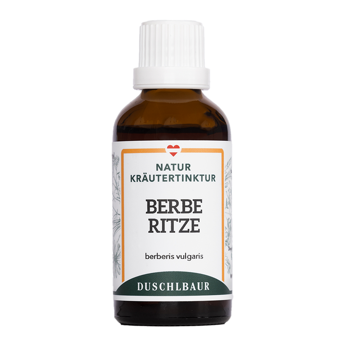 Berberitze Tinktur - berberis vulgaris