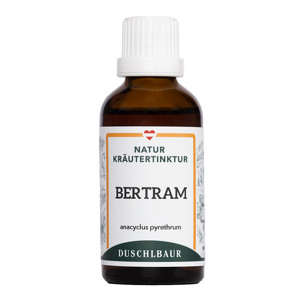 Bertram tincture - anacyclus pyrethrum