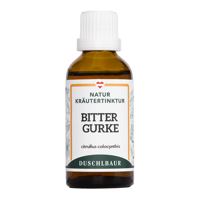 Bittergurke Tinktur - momordica charantia