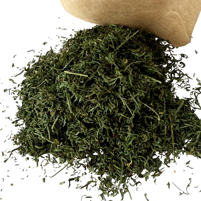 Artemisia annua drops - annual mugwort 