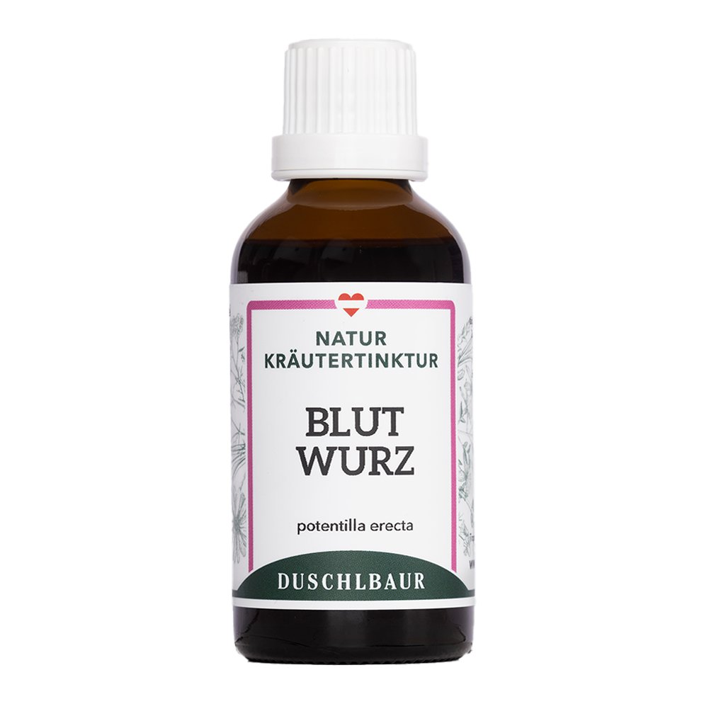 Blutwurz Tormentill Tinktur - potentilla erecta