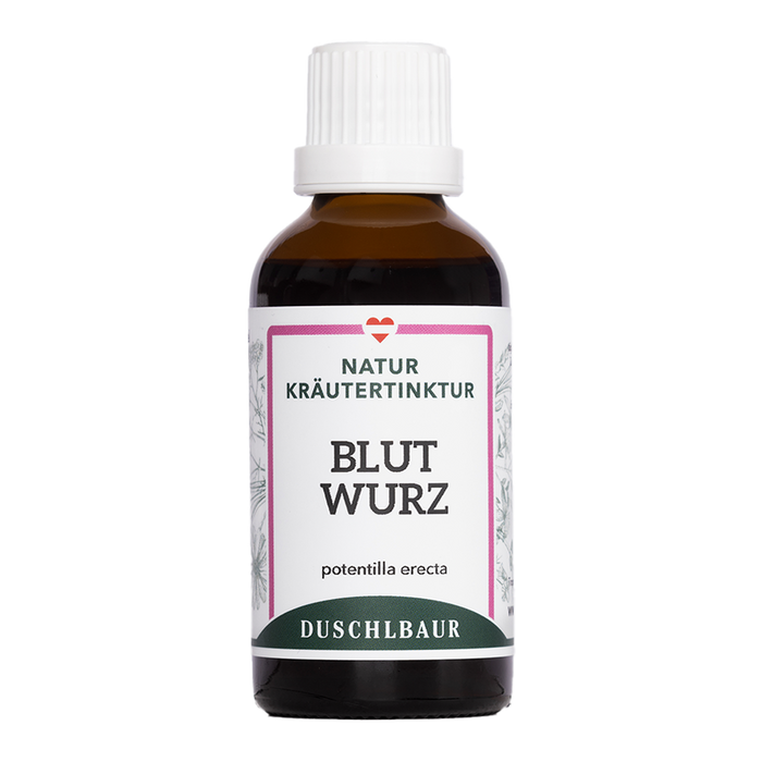 Blutwurz Tormentill Tinktur - potentilla erecta