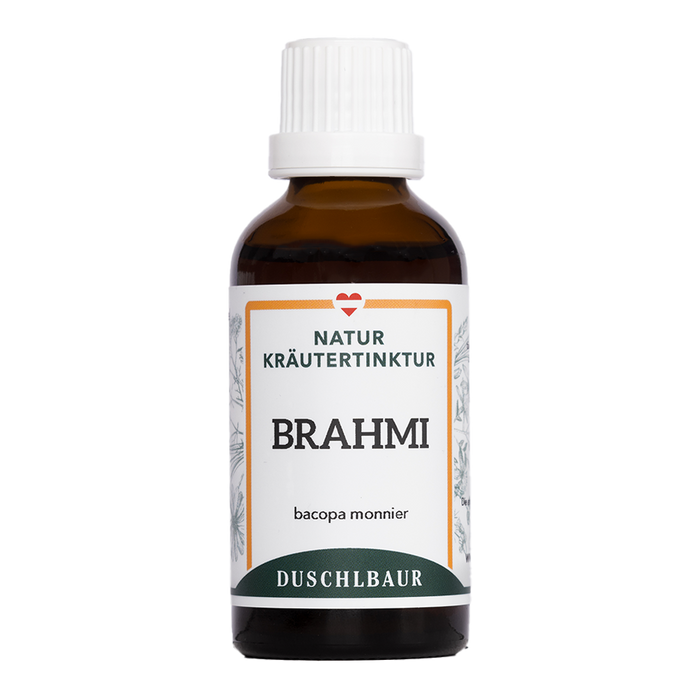 Brahmi Fettblatt klein Tinktur - bacopa monnieri