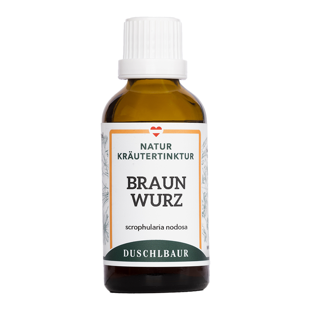 Braunwurz Tinktur - scrophularia nodosa