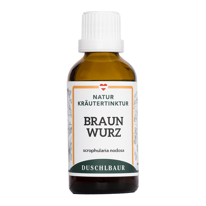 Braunwurz Tinktur - scrophularia nodosa