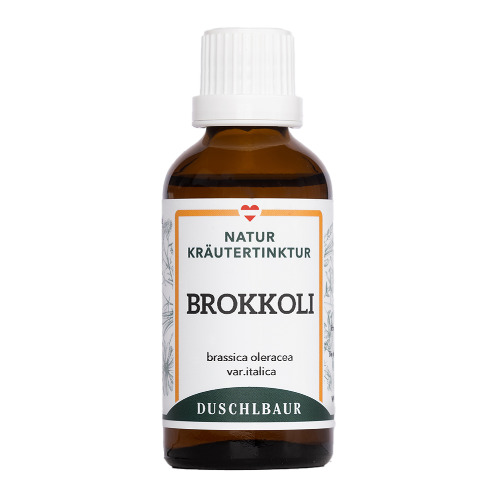 Broccoli Brassica tincture - oleracea var. italica