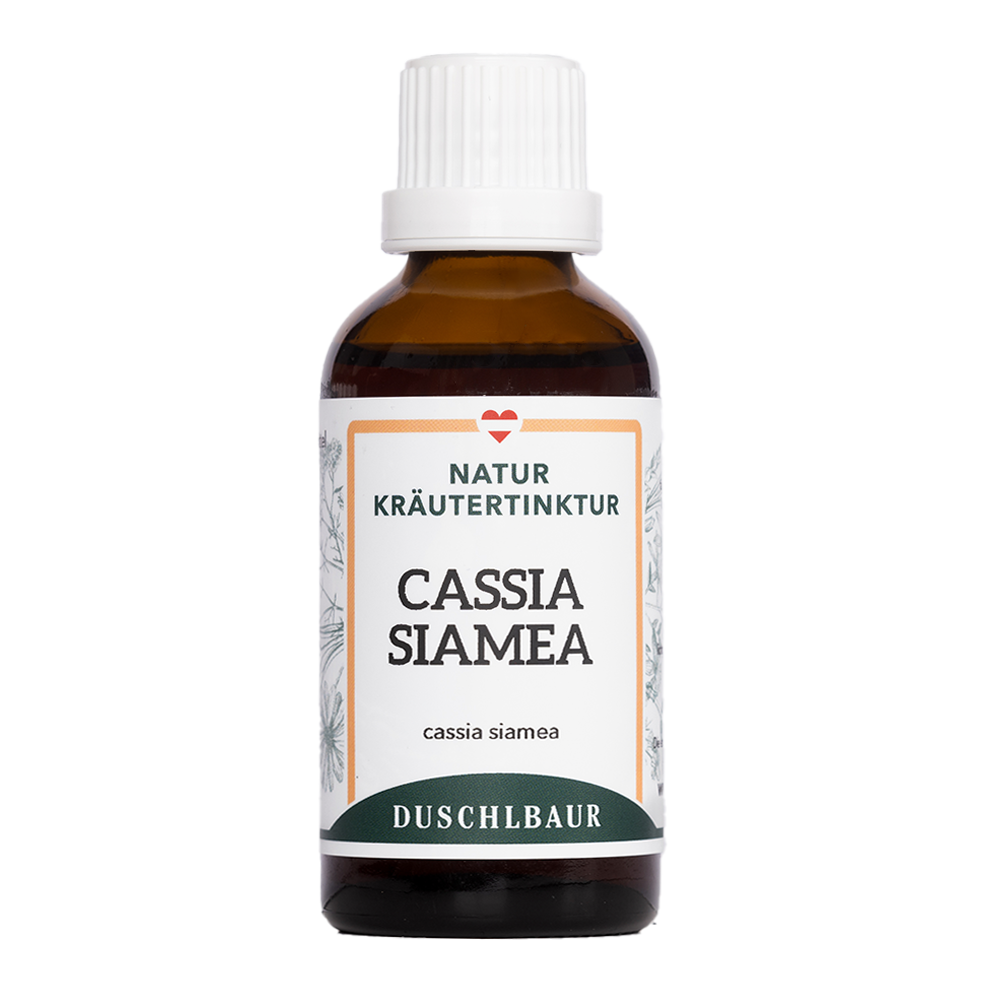 Cassia siamea tincture - cassia siamea