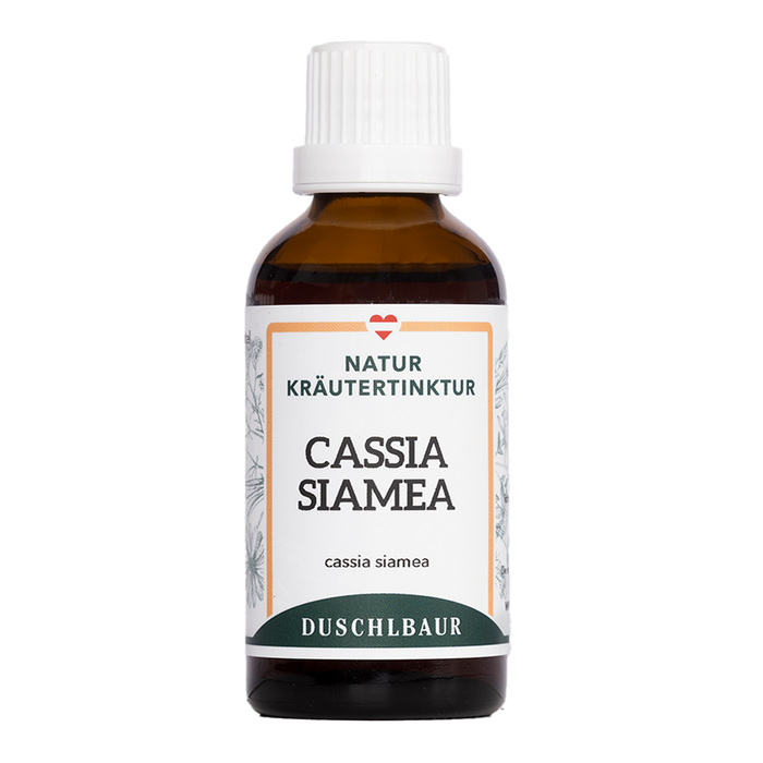 Cassia siamea Tinktur - cassia siamea