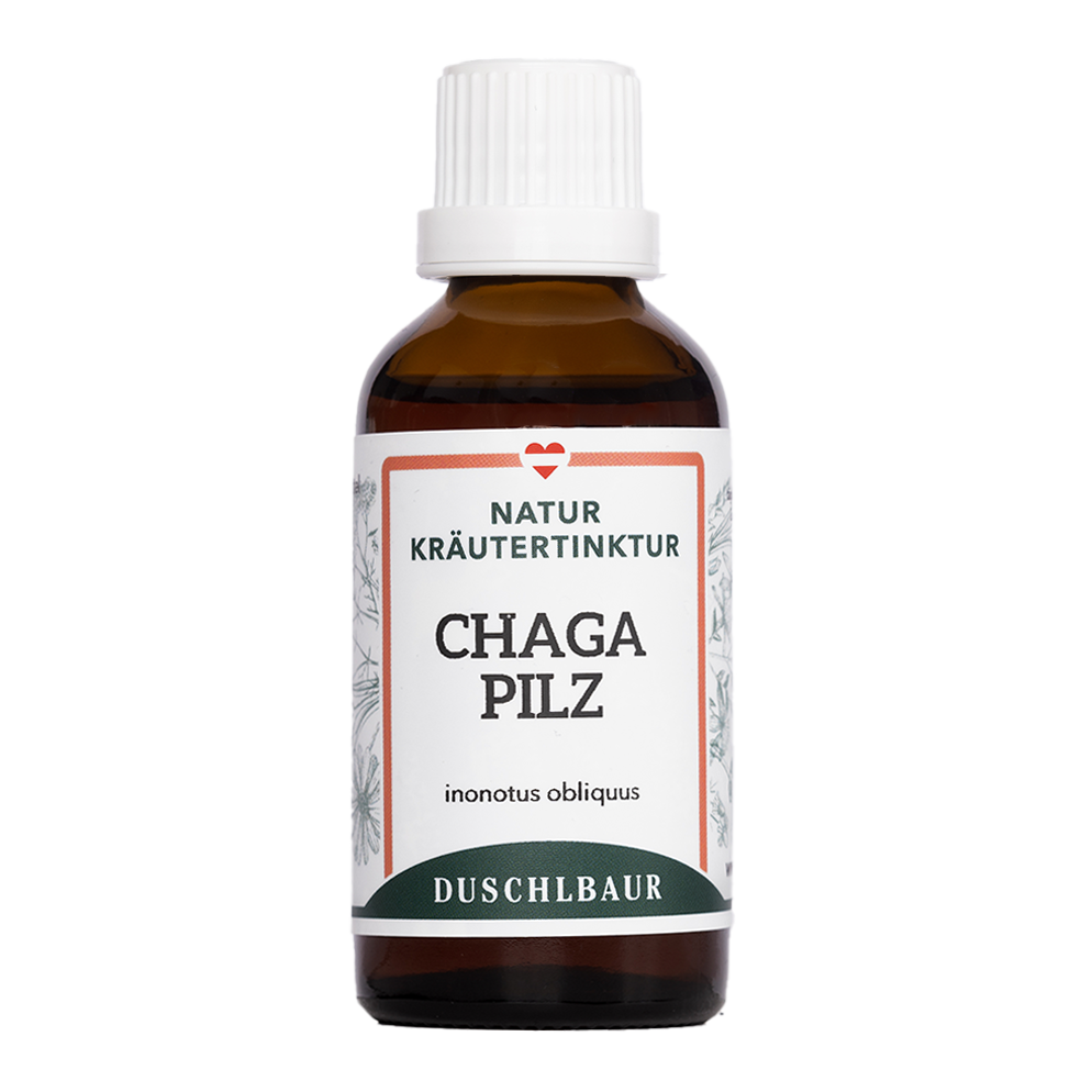 Chaga Vitalpilz Tinktur - inonotus obliquus
