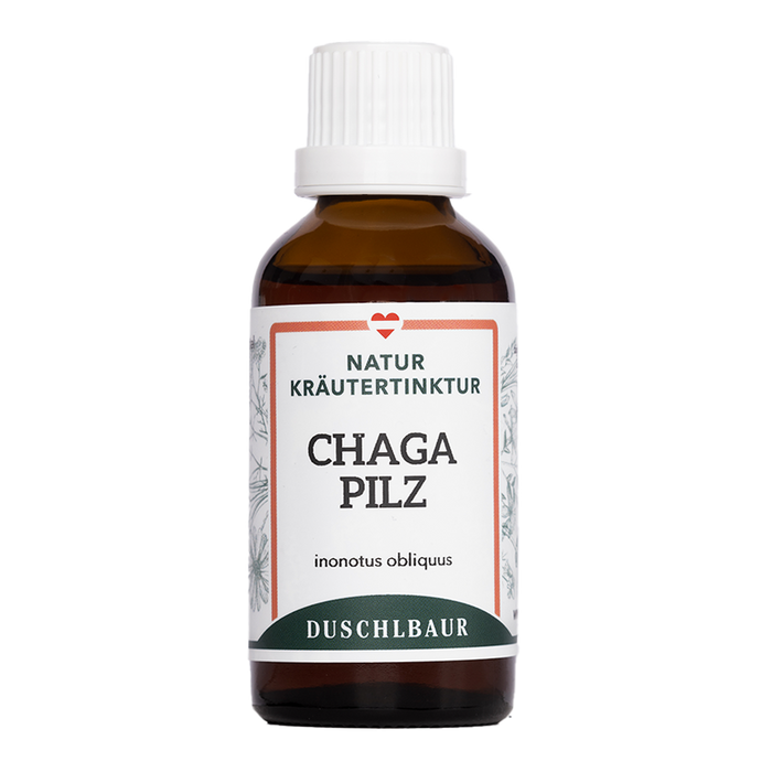 Chagapilz Tinktur - inonotus obliquus