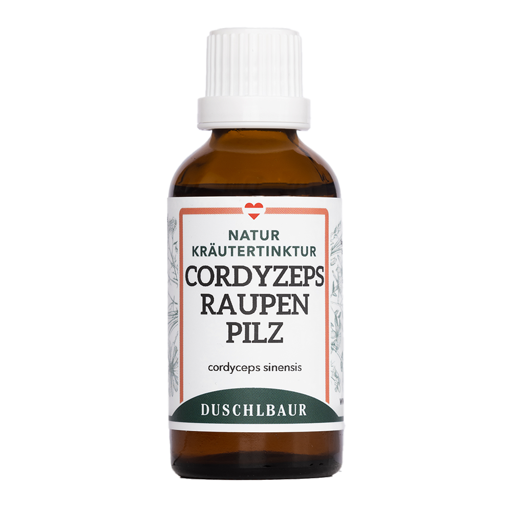 Cordyceps Vitalpilz Tinktur - Raupenpilz cordyceps sinensis