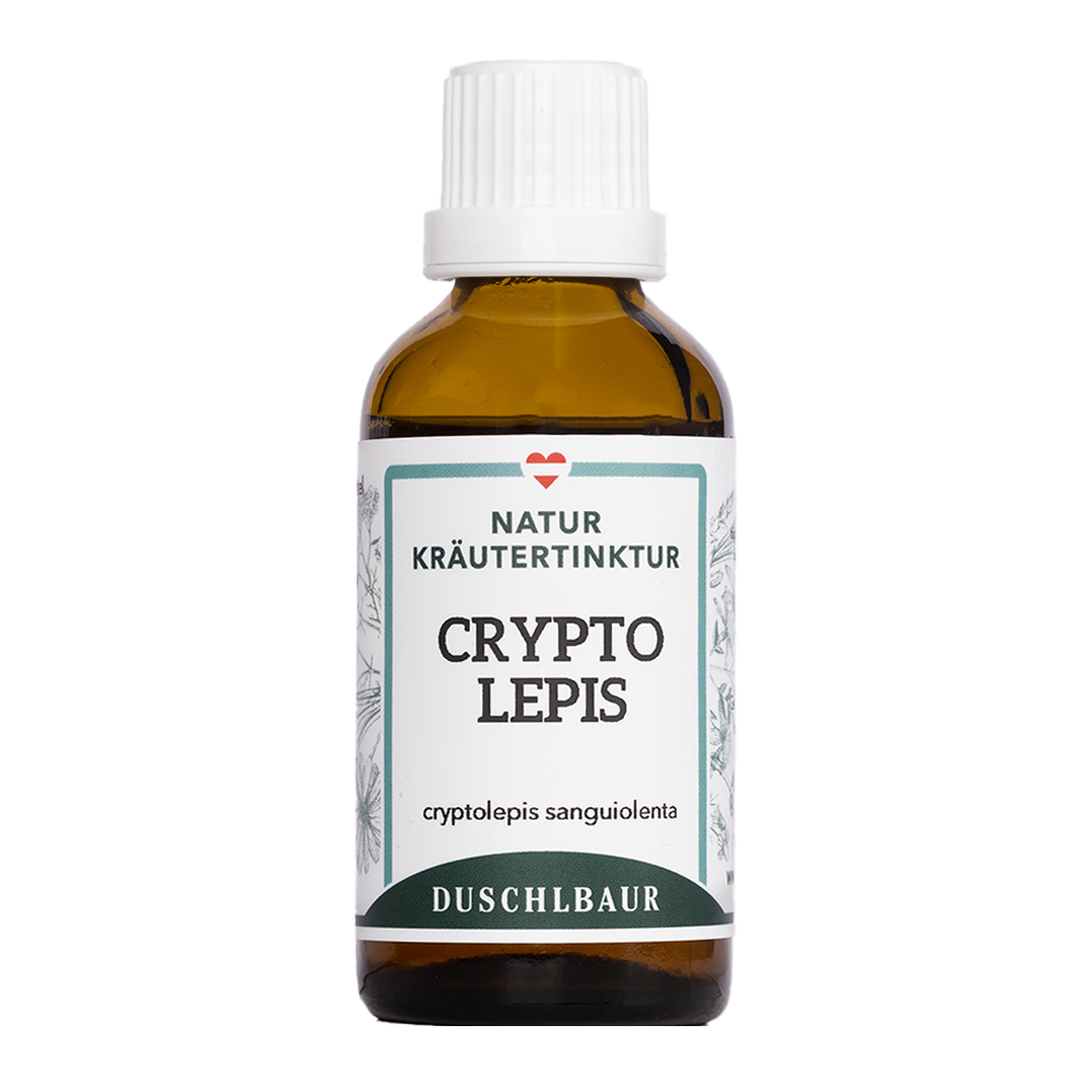 Cryptolepis Tinktur - cryptolepis sanguinolenta