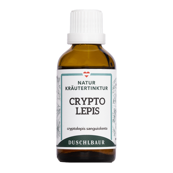 Cryptolepis Tinktur - cryptolepis sanguinolenta