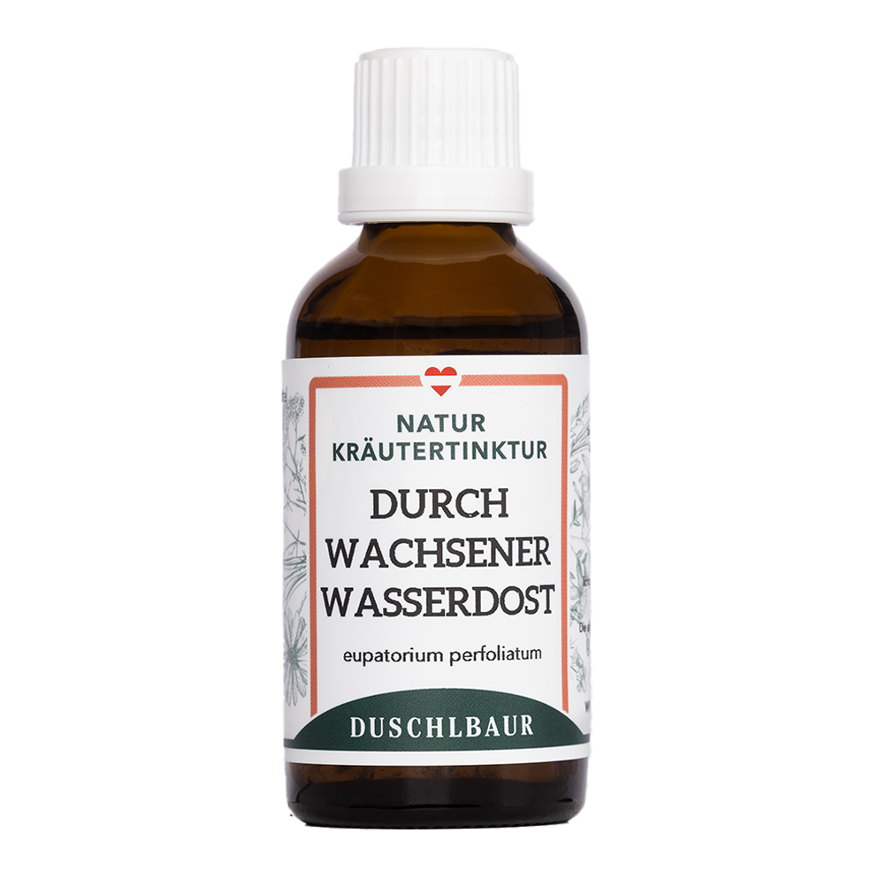 Wasserdost Tinktur - eupatorium perfoliatum