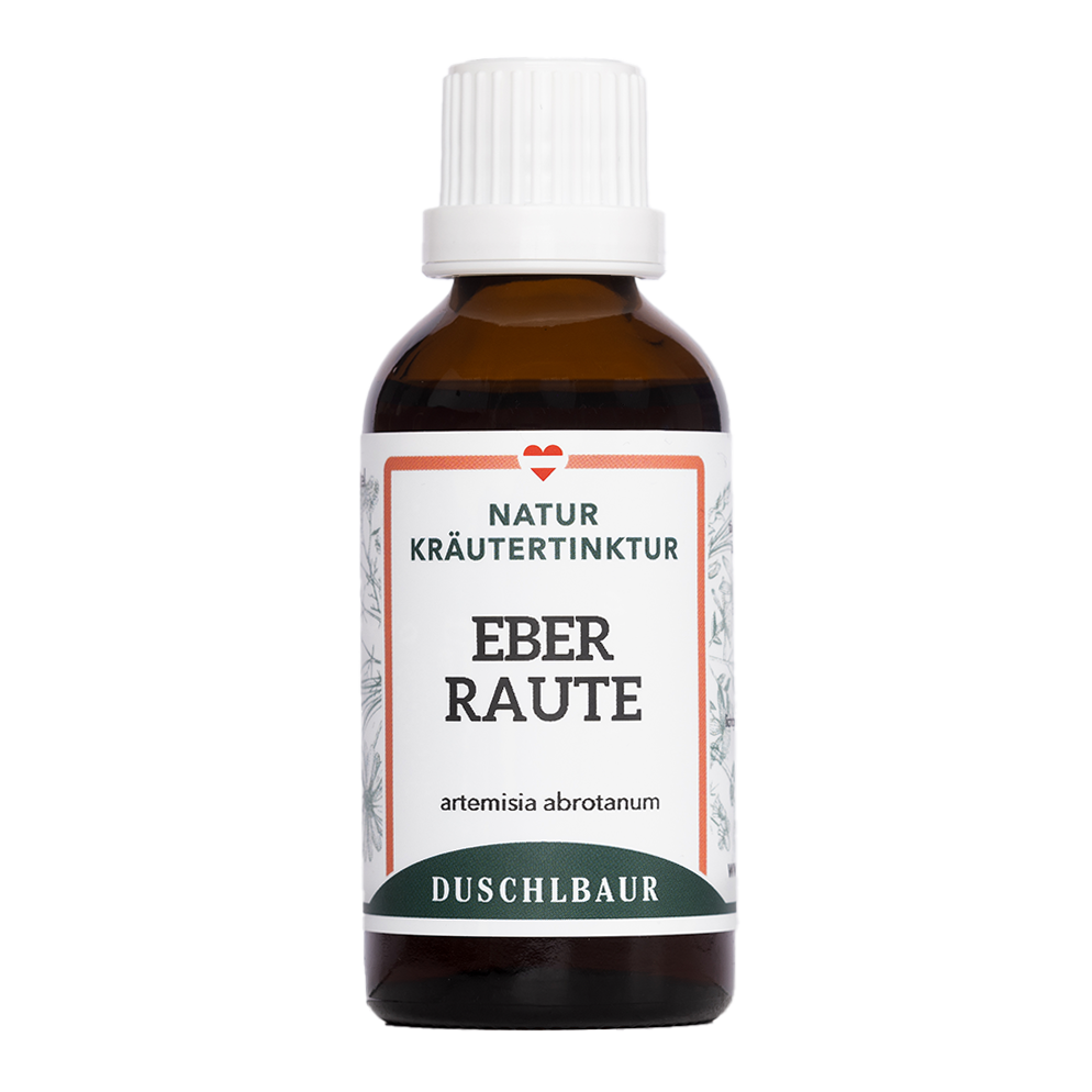 Boar Rue Tincture - artemisia abrotanum
