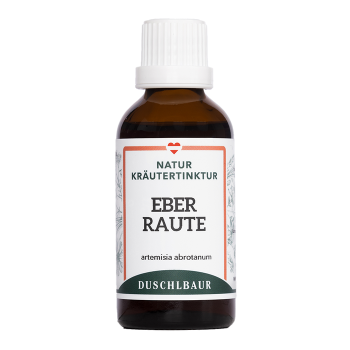 Eberraute Tinktur - artemisia abrotanum