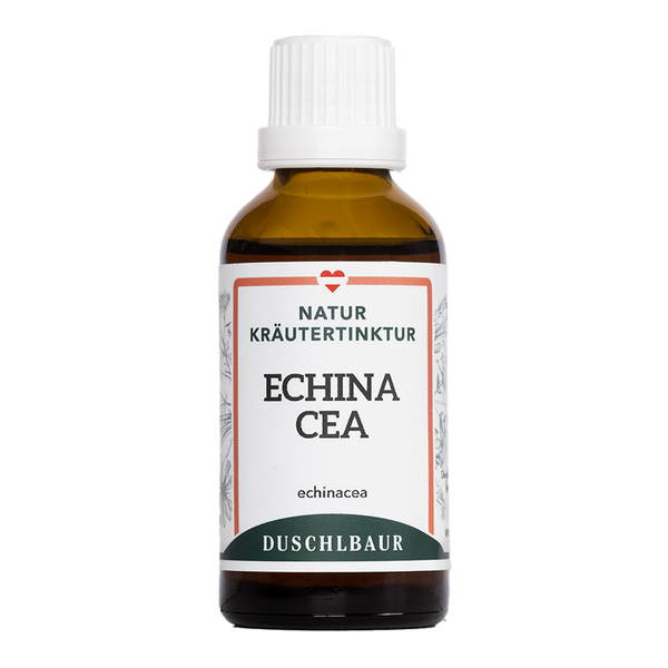 Echinacea