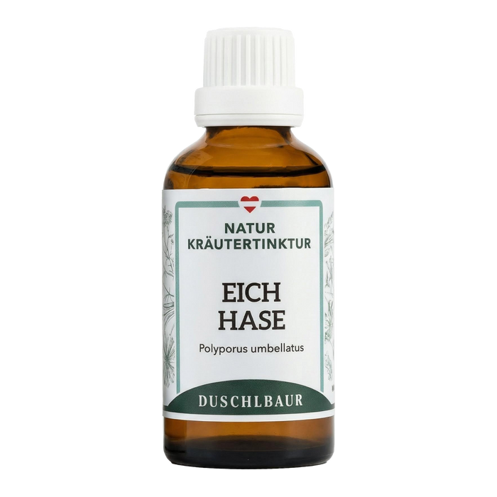 Eichhase Vitalpilz Tinktur - polyporus umbellatus
