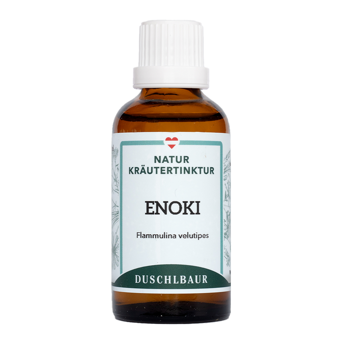 Enoki Vitalpilz Tinktur - flammulina velutipes