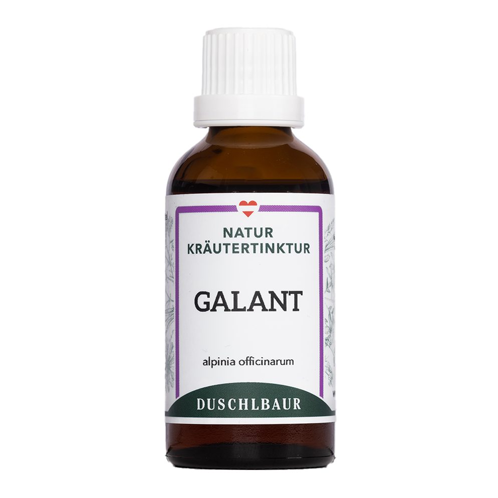 Galgant Tinktur - alpina officinarum