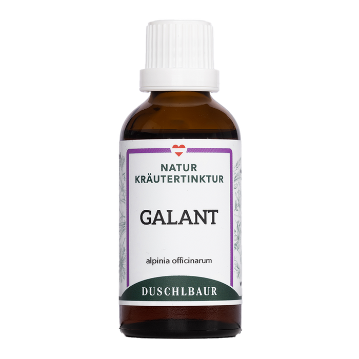 Galgant Tinktur - alpina officinarum