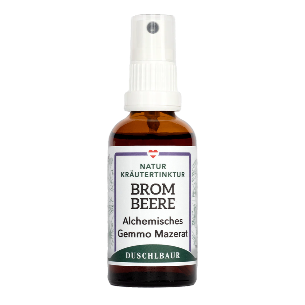Blackberry Gemmo Macerate - rubus fruticosus