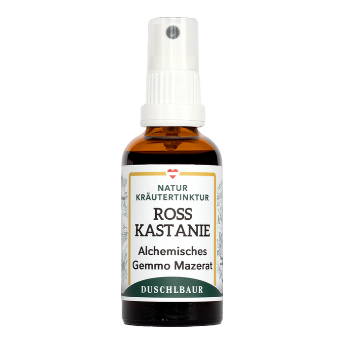Horse Chestnut Gemmo Macerate - aesculus hippocastanum 