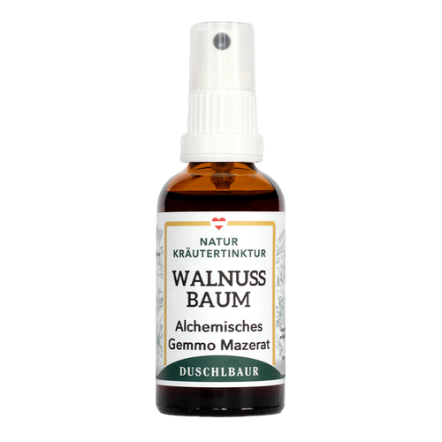 Walnussbaum Gemmo Mazerat - juglans regia - Darm, Haut, Fettstoffwechsel