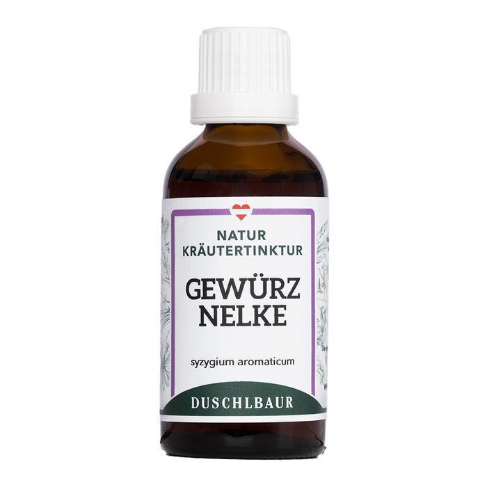 Gewürznelke Tinktur - szygium aromaticum