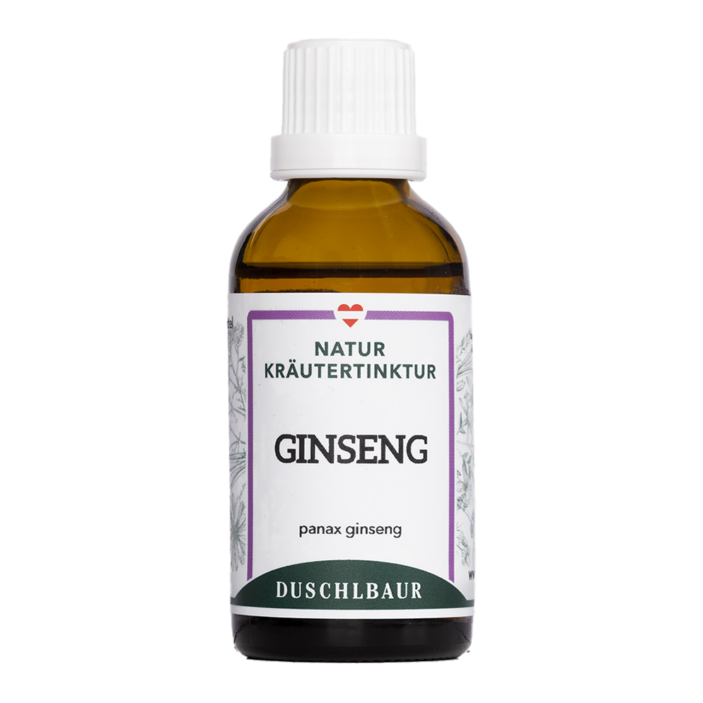 Ginseng Tinktur - panax ginseng
