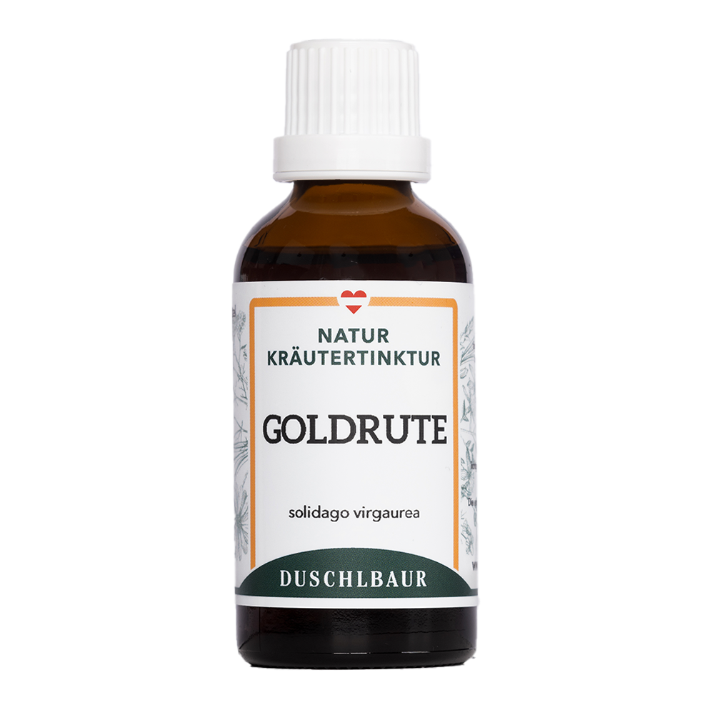 Goldrute echt Tinktur - solidago virgaurea