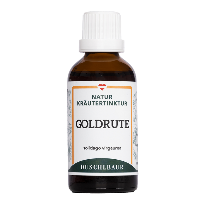 Goldrute echt Tinktur - solidago virgaurea