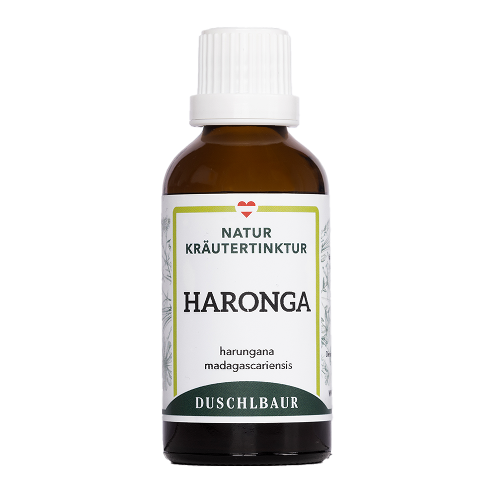 Haronga Tinktur - harungana madagascariensis
