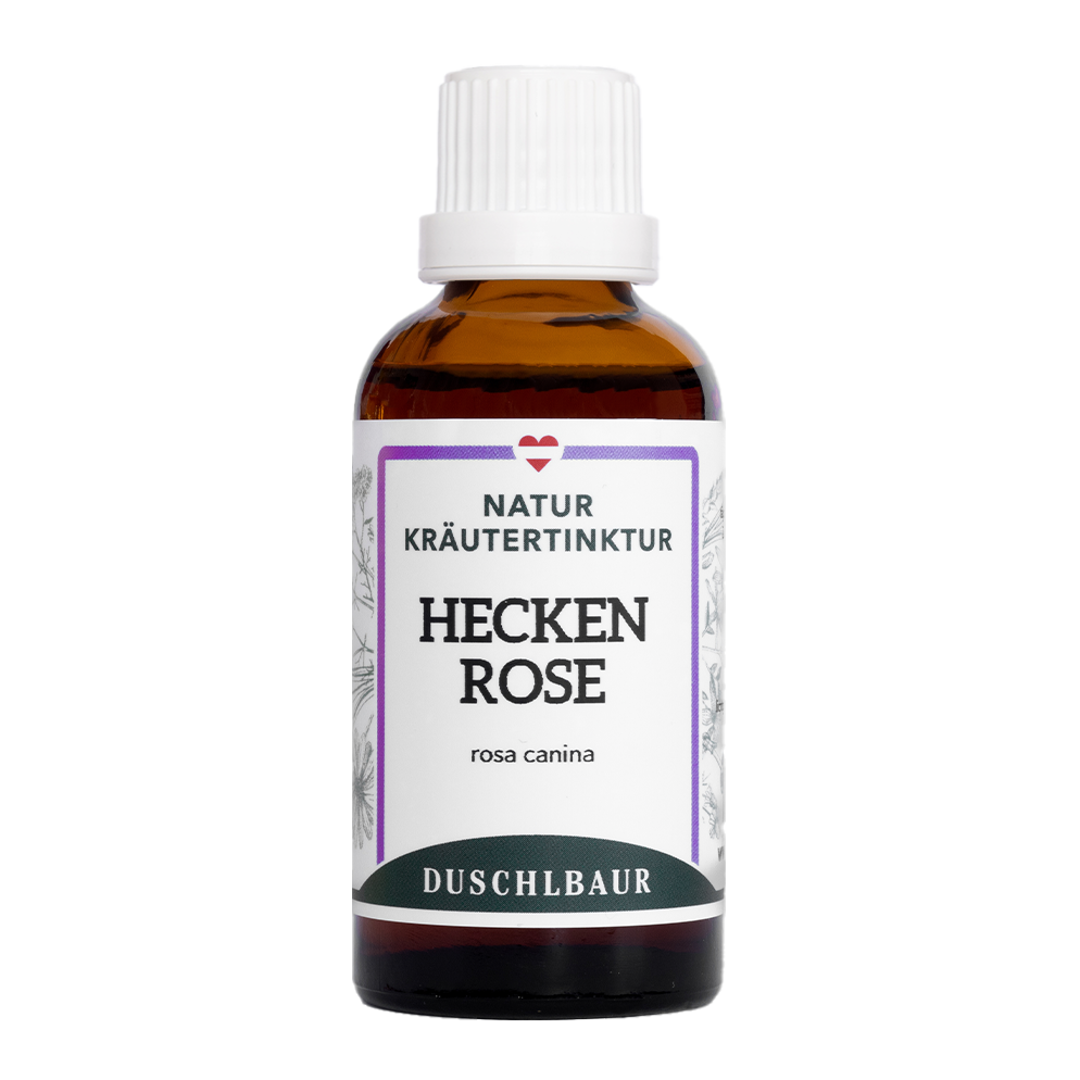 Heckenrose Tinktur - rosa canina
