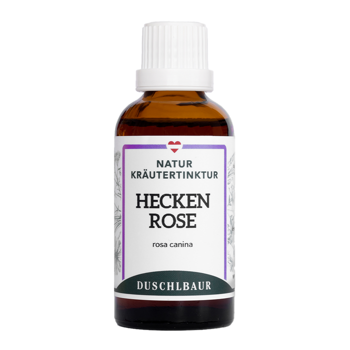 Heckenrose Tinktur - rosa canina