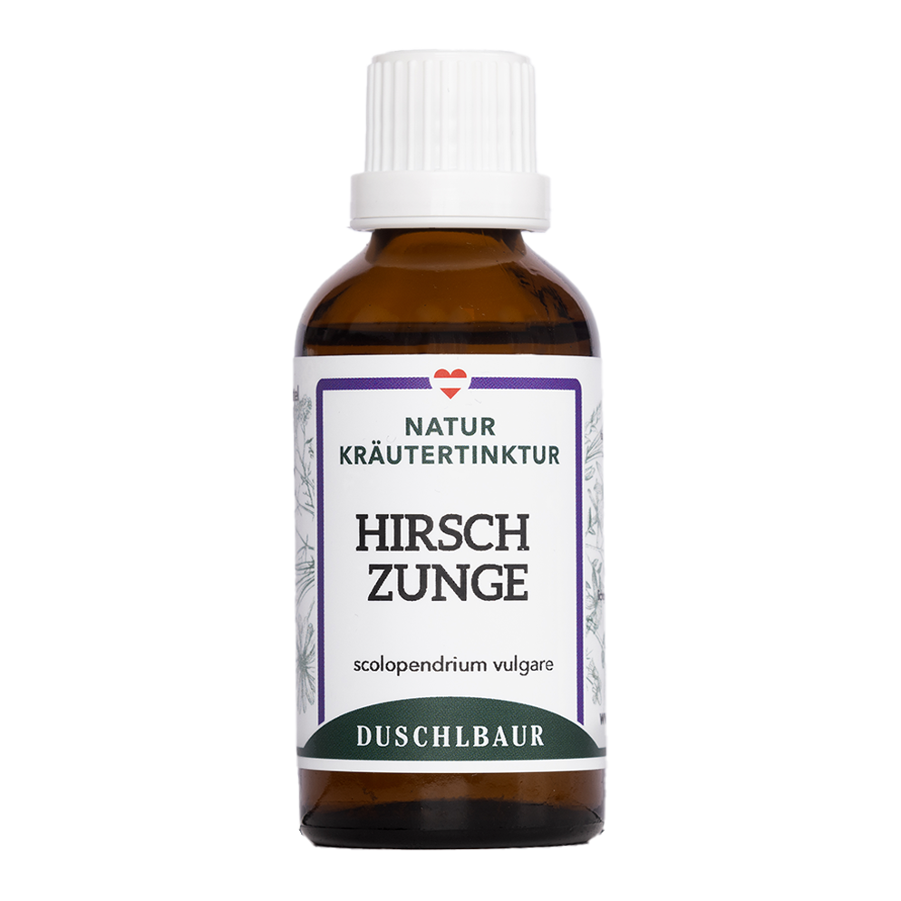 Hart's tongue tincture - scolopendrium vulgare