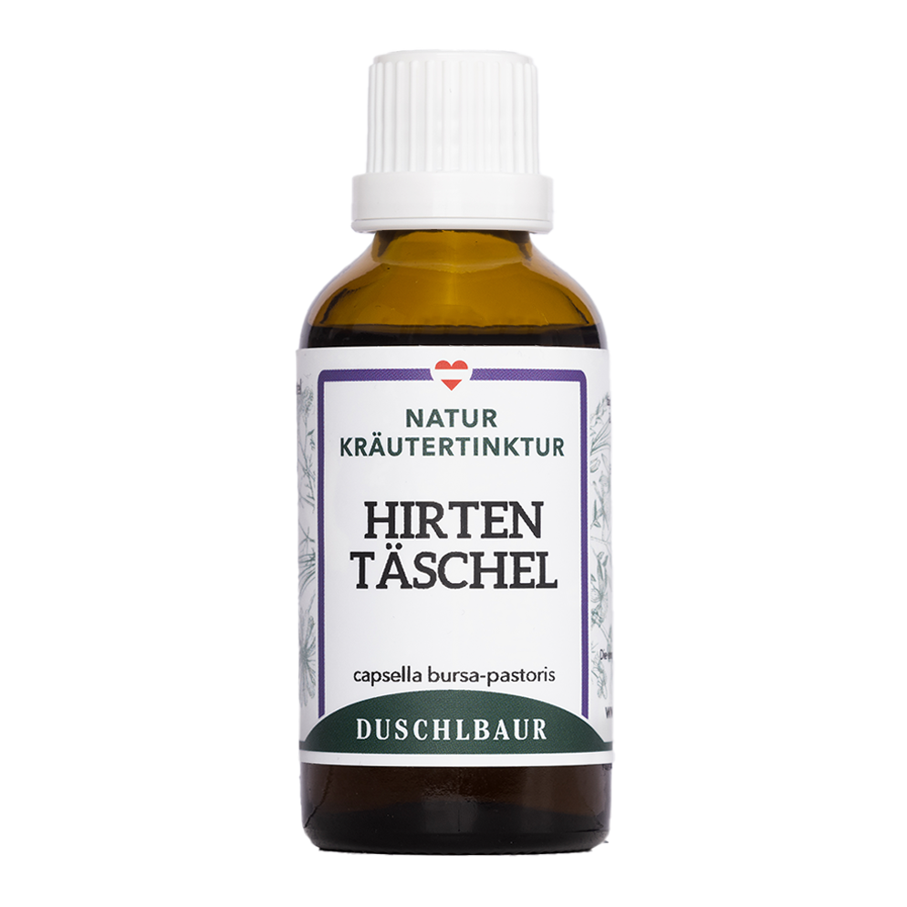 Hirtentäschel Tinktur - capsella bursa-pastoris