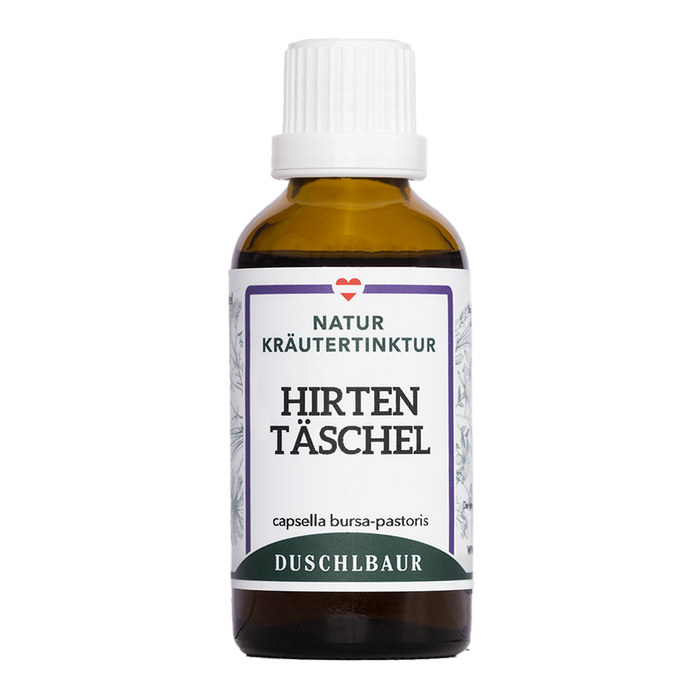 Hirtentäschel Tinktur - capsella bursa-pastoris