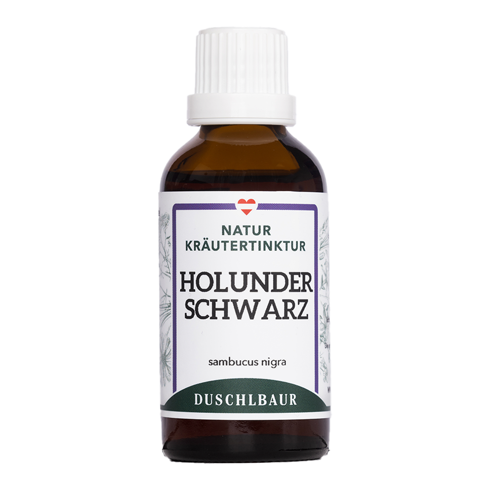 Holunder schwarz Tinktur - sambucus nigra