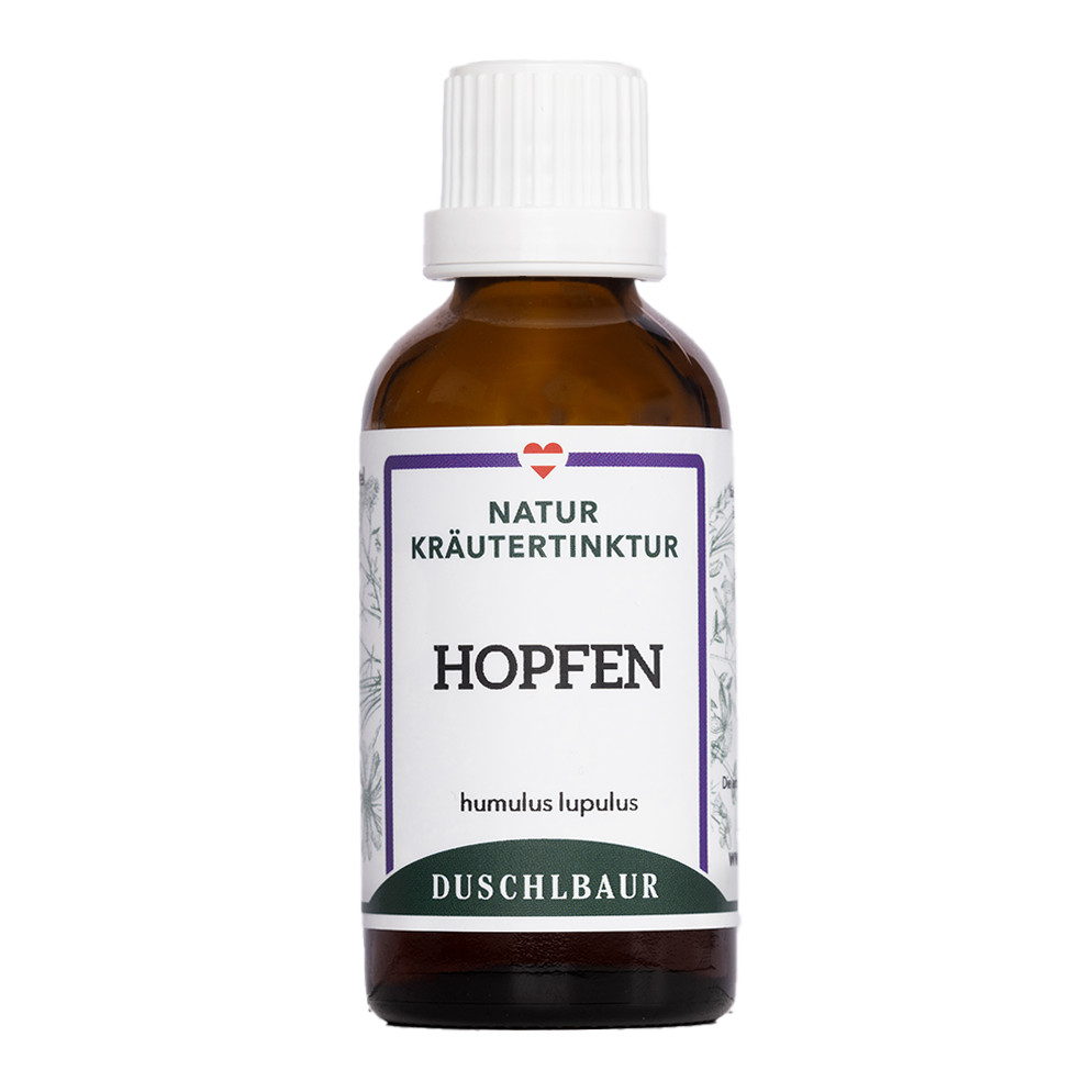 Hopfen Tinktur - humulus lupulus