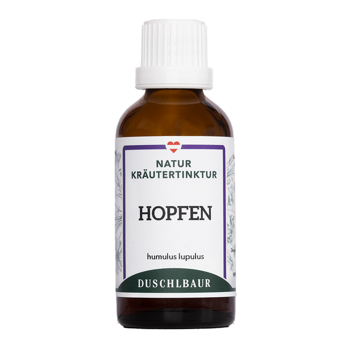Hopfen Tinktur - humulus lupulus
