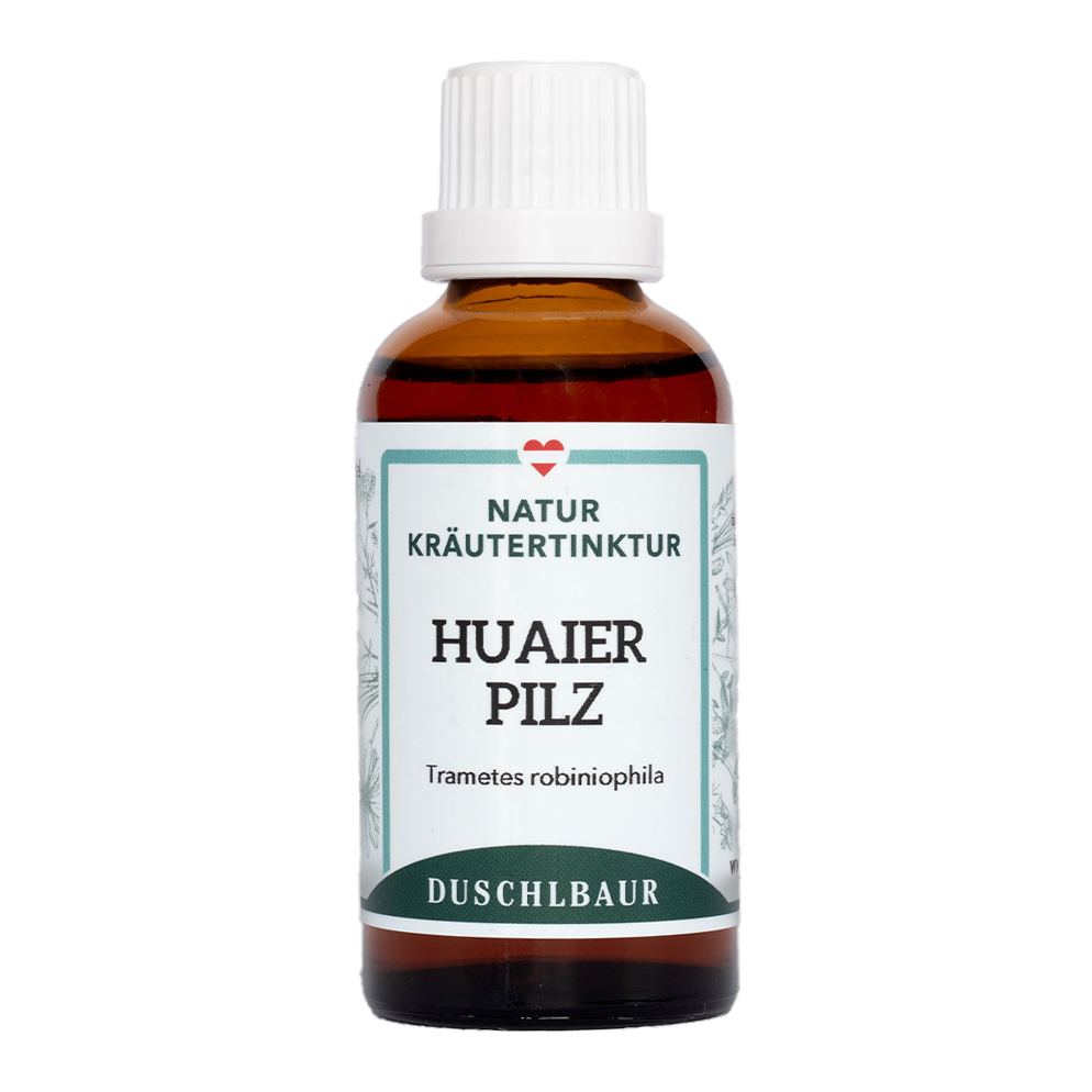 Huaier Pilz Tinktur 40 % Polysaccharide - trametes robiniophila murr