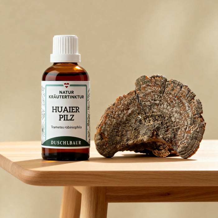 Huaier Pilz Tinktur 40 % Polysaccharide - trametes robiniophila murr