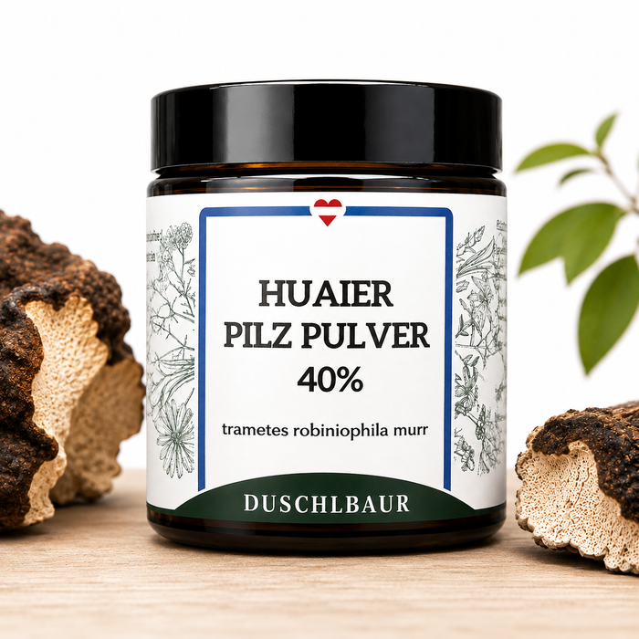 Huaier Pilz Pulver Extrakt 40 % Polysaccharide - trametes robiniophila murr