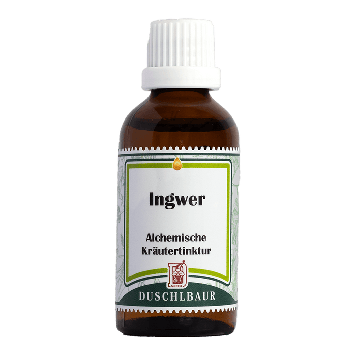 Ingwer Tinktur - zingiber officinalis