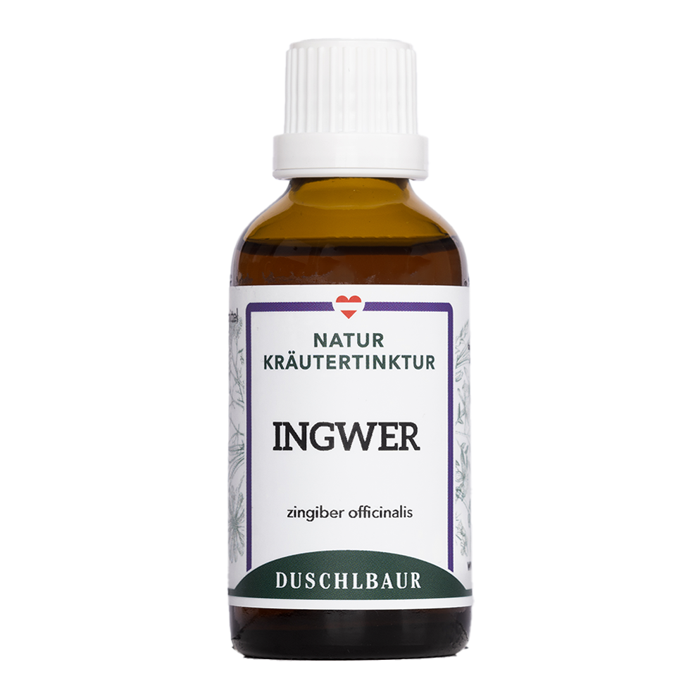 Ingwer Tinktur - zingiber officinalis