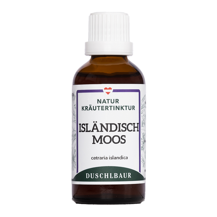 Isländisch Moos Tinktur - cetraria islandica