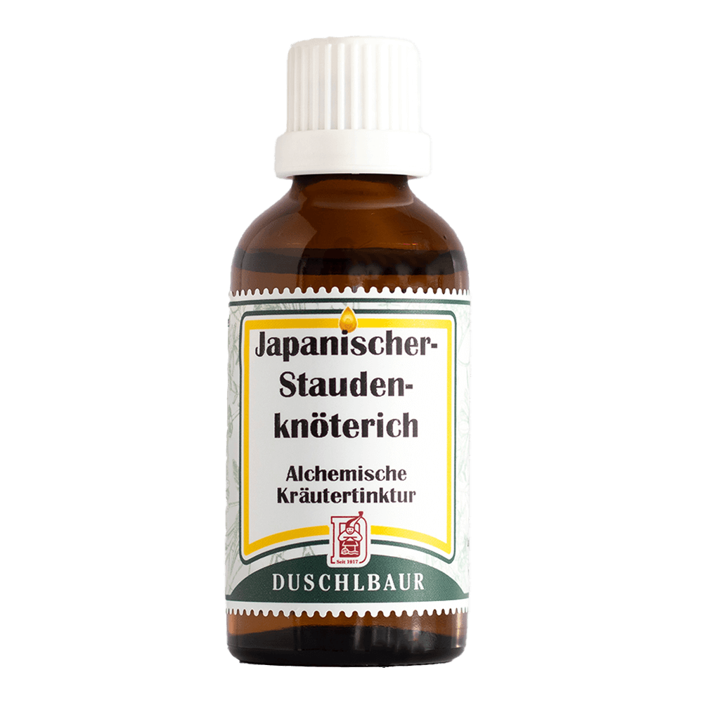 Japanischer Staudenknöterich Tinktur Auszug — Naturessenzen Duschlbaur