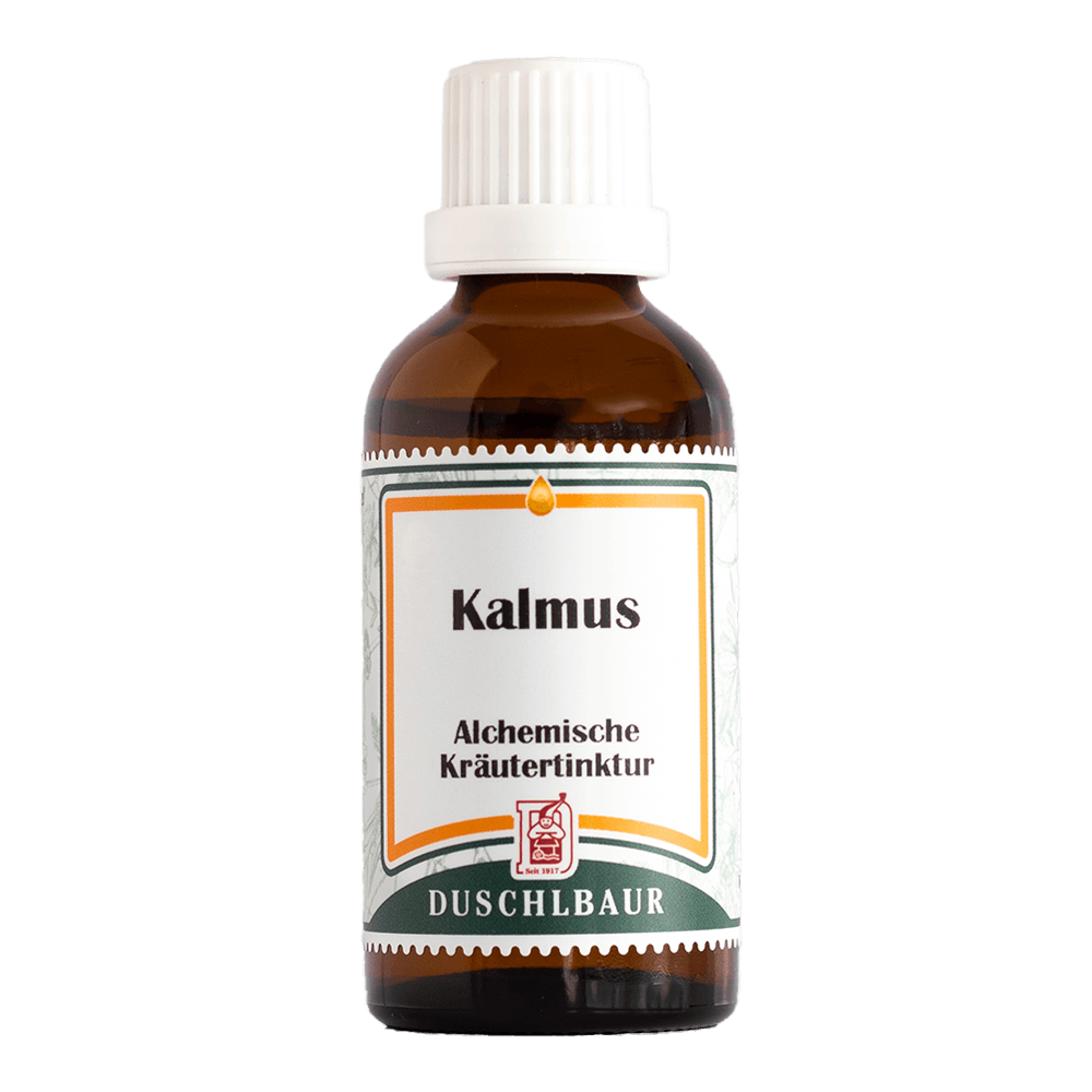 Kalmus Tinktur acorus calamus Auszug — Naturessenzen Duschlbaur